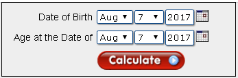 Age Calculator 