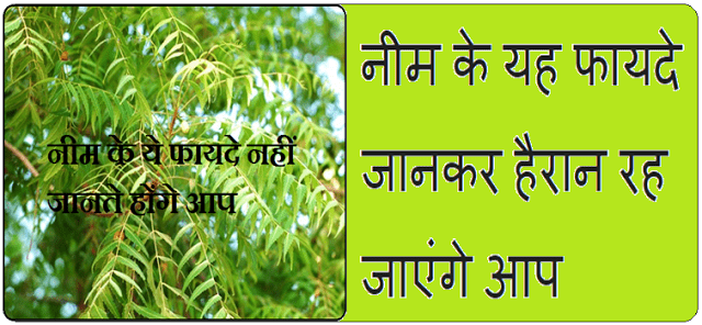 Benefits of neem in Hindi