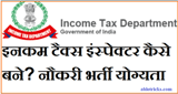 Income tax inspector job details