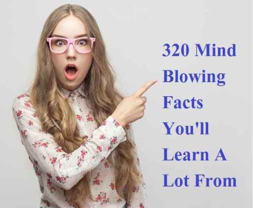 320 Mind Blowing Facts You'll Learn A Lot From