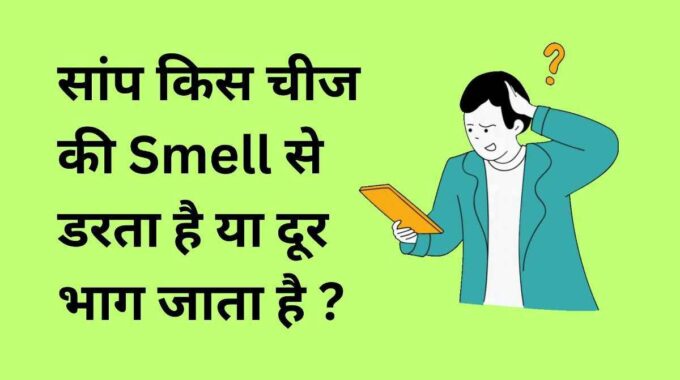 saamp kis ki smell se darta